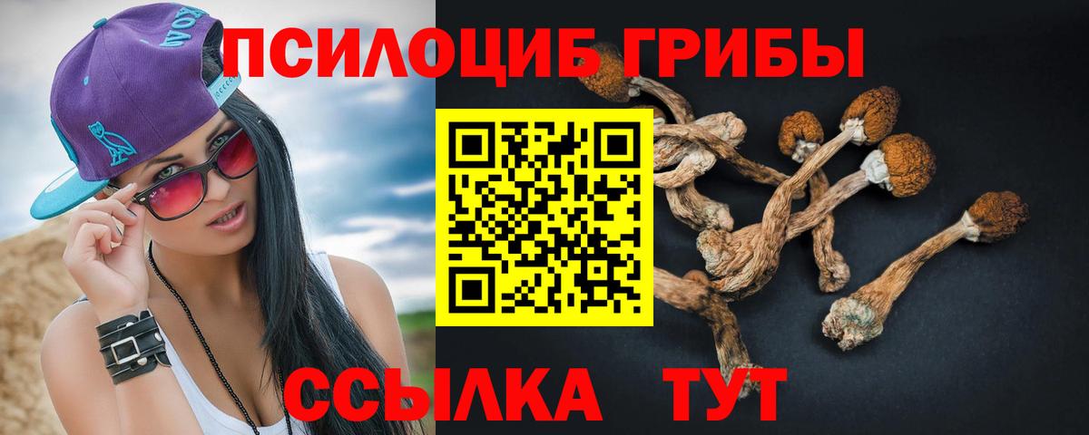 Псилоцибиновые грибы Cubensis Семилуки